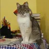 Отзыв от Анастасия Кошелева